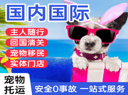 塔城千泉航空货运国际宠物托运 【国